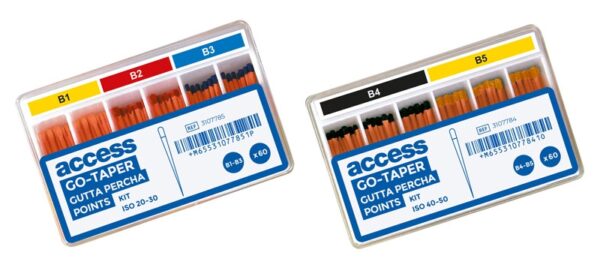Pointes de Gutta-Percha Go-Taper Access,
