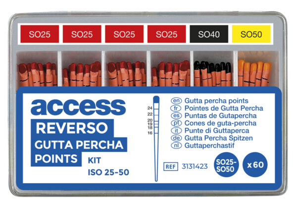 Pointes Gutta-Percha Endo Reverso - Boîte de 60