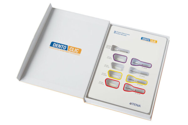 TENONS FIBRE VERRE TRANS. (5)DENTOCLIC