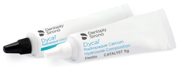 DYCAL BOITE DE 2 TUBES