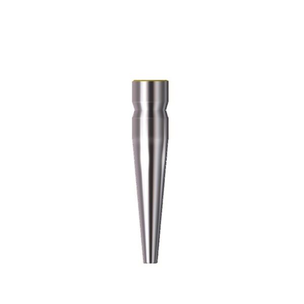 TENONS CONIQUES INOX (20)