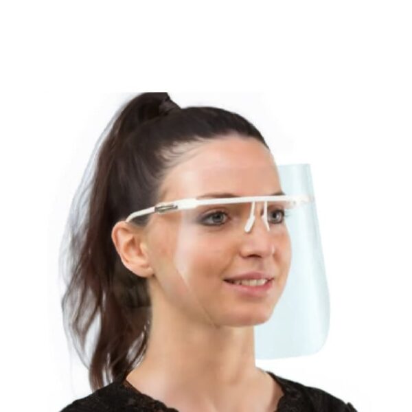 MONTURE + 6 VISIERES DE PROTECTION BL R66 LARIDENT